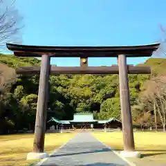 靜岡縣護國神社の鳥居