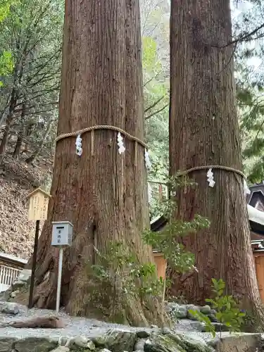 丹生川上神社（中社）(奈良県)