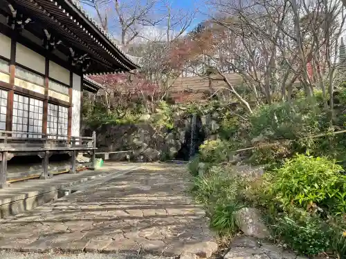 妙蓮寺の{uncategorized: "未分類", other: "その他", undefined: "問題あり", building: "その他建物", grave: "お墓", sacred_gate: "鳥居", guardian: "狛犬", statue: "像", buddha: "仏像", history: "歴史", nature: "自然", garden: "庭園", animal: "動物", pagoda: "塔", temizu: "手水舎", mountain_gate: "山門・神門", sanctuary: "本殿・本堂", subordinate: "末社・摂社", art: "芸術", scenery: "景色", jizo: "地蔵", ema: "絵馬", goshuin: "御朱印", omikuji: "おみくじ", items: "授与品その他", amulet: "お守り", goshuincho: "御朱印帳", eats: "食事", festival: "お祭り", votive_dance: "神楽", shichigosan: "七五三参", wedding: "結婚式", experience: "体験その他", initially: "初詣", around: "周辺", anti_infection: "感染症対策"}