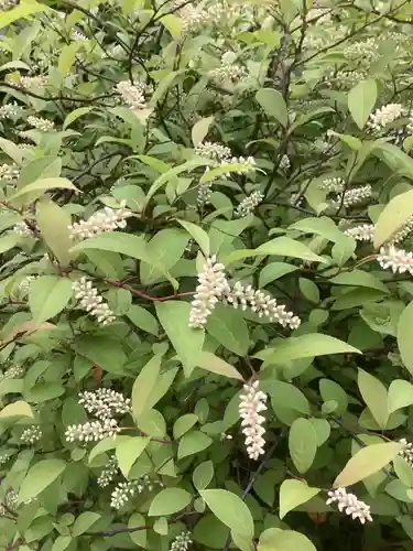 日蓮宗瑞光山久遠寺の庭園
