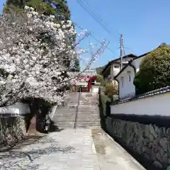 太山寺の自然