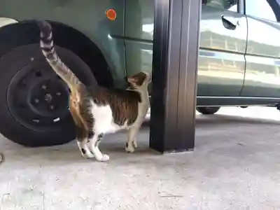 正覚寺(福井県)