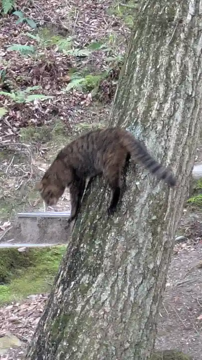 村雲御所瑞龍寺門跡(滋賀県)