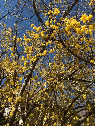 横浜　西方寺の自然