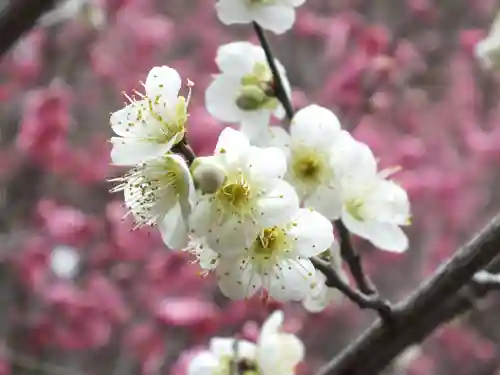 石山寺(滋賀県)