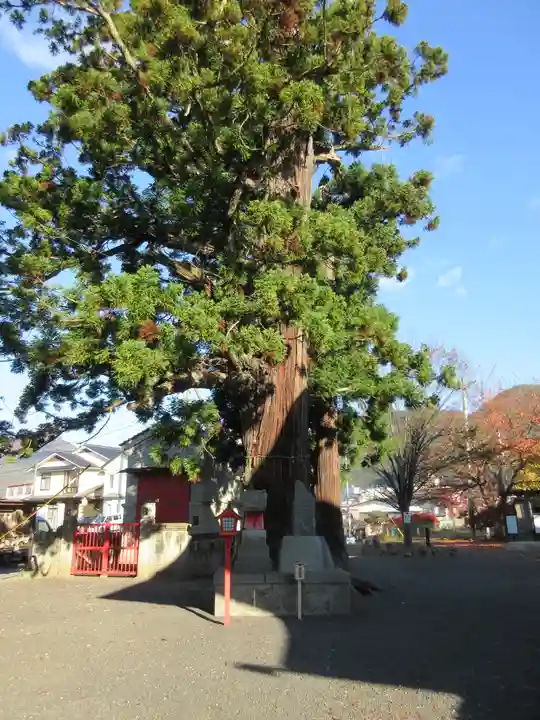 飯坂八幡神社のその他建物