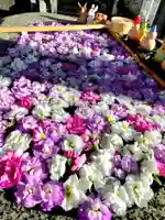 阿邪訶根神社の手水舎