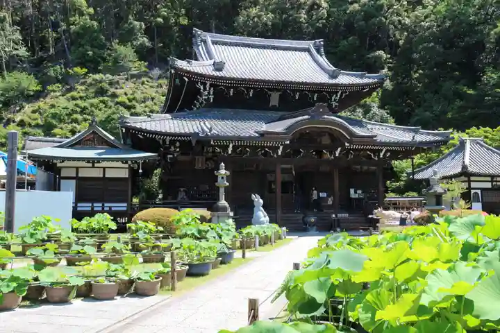 三室戸寺の本殿・本堂