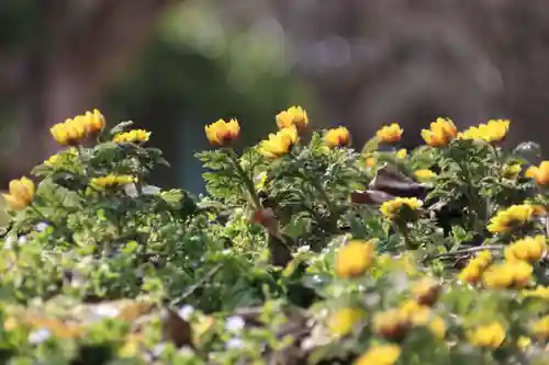 正観音堂の自然