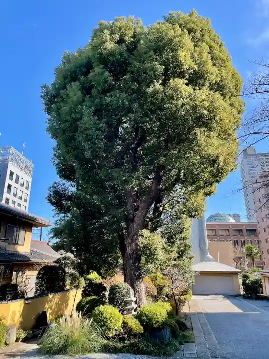 成願寺(神奈川県)