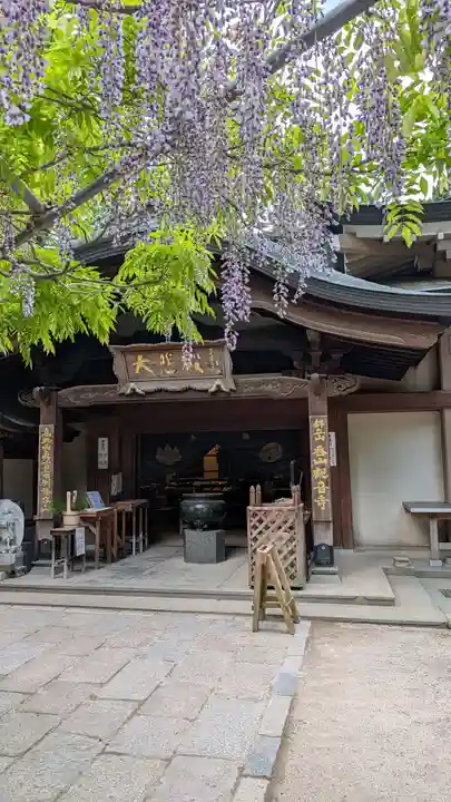 呑山観音寺(福岡県)