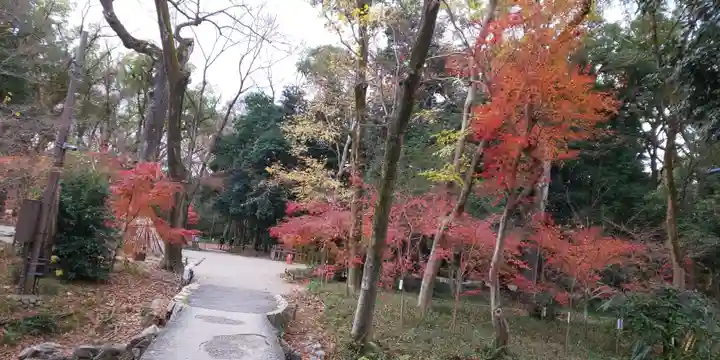 賀茂御祖神社(下鴨神社)(京都府)