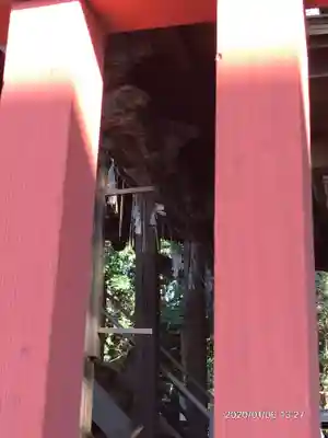 谷保天満宮の本殿・本堂