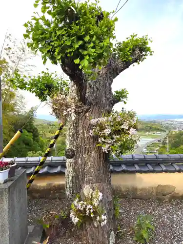 禅師峰寺(高知県)