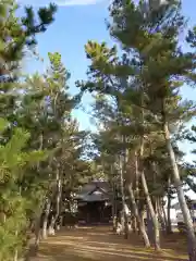 八坂神社の自然