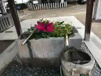 久留米宗社 日吉神社の{uncategorized: "未分類", other: "その他", undefined: "問題あり", building: "その他建物", grave: "お墓", sacred_gate: "鳥居", guardian: "狛犬", statue: "像", buddha: "仏像", history: "歴史", nature: "自然", garden: "庭園", animal: "動物", pagoda: "塔", temizu: "手水舎", mountain_gate: "山門・神門", sanctuary: "本殿・本堂", subordinate: "末社・摂社", art: "芸術", scenery: "景色", jizo: "地蔵", ema: "絵馬", goshuin: "御朱印", omikuji: "おみくじ", items: "授与品その他", amulet: "お守り", goshuincho: "御朱印帳", eats: "食事", festival: "お祭り", votive_dance: "神楽", shichigosan: "七五三参", wedding: "結婚式", experience: "体験その他", initially: "初詣", around: "周辺", anti_infection: "感染症対策"}