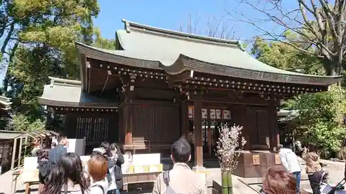 川越氷川神社の本殿・本堂