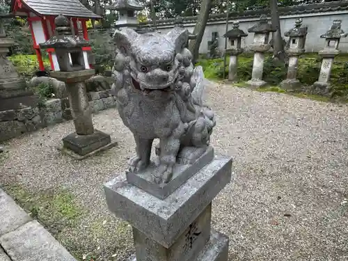 元石清水八幡神社の狛犬