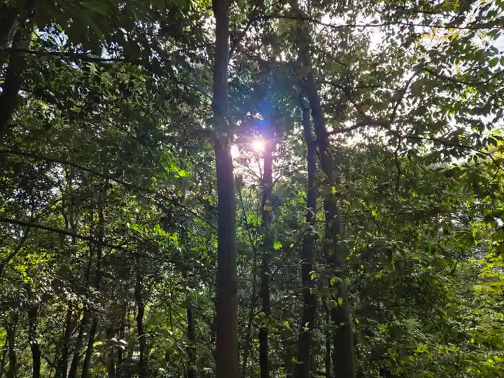 天皇社(大神神社末社)(奈良県)
