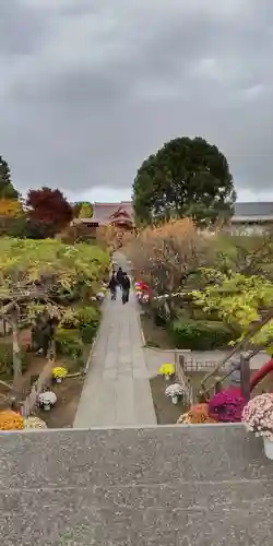 亀戸天神社(東京都)