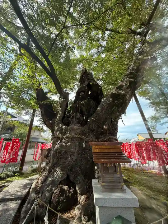 秩父今宮神社(埼玉県)
