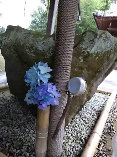 河内阿蘇神社(熊本県)