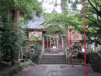 渋川八幡宮の本殿・本堂