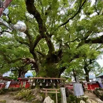宇美八幡宮(福岡県)