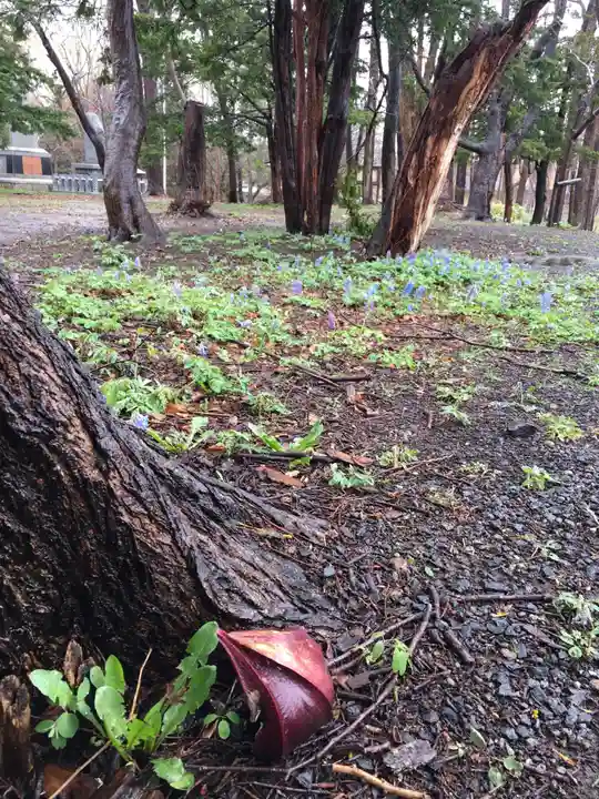 錦山天満宮の自然