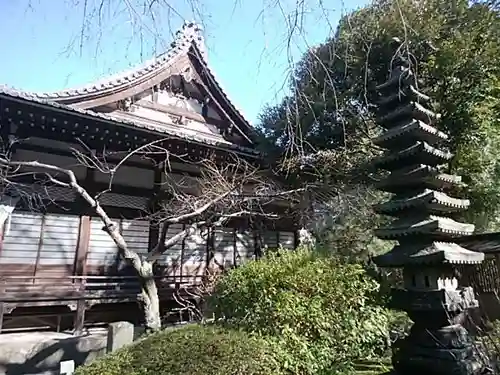 安國論寺（安国論寺）の本殿・本堂