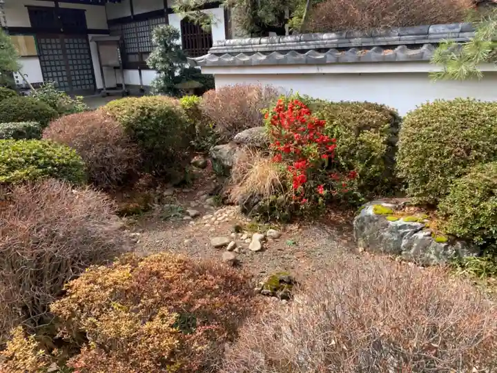井口院の庭園