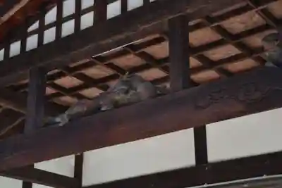 法然寺の本殿・本堂