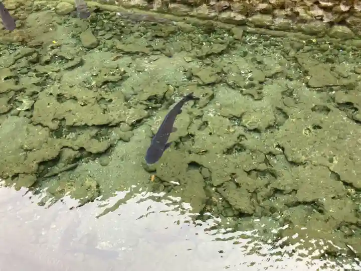 鑁阿寺(栃木県)