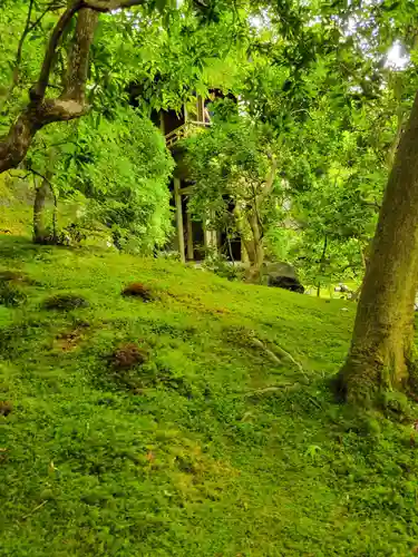 光明寺瑠璃光院(京都府)