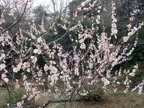師岡熊野神社の御朱印