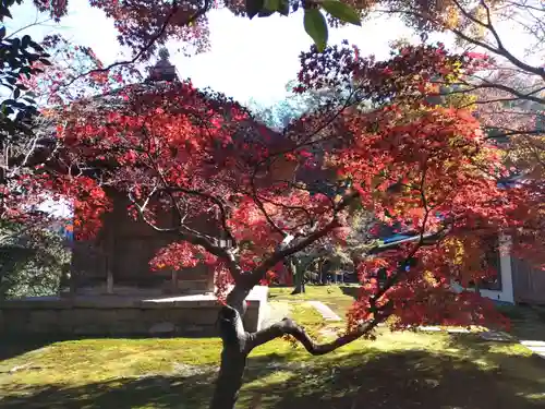長壽寺（長寿寺）(神奈川県)