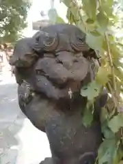 諏訪神社(東京都)