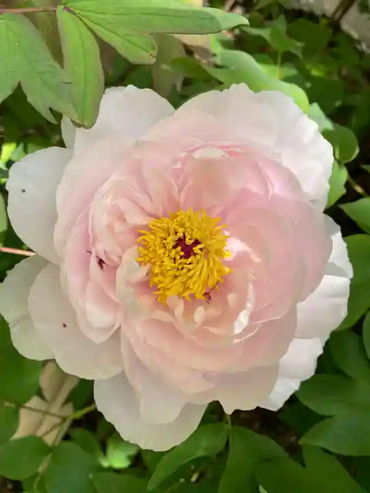 円通院(宮城県)