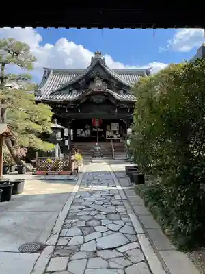行願寺(革堂)の本殿・本堂