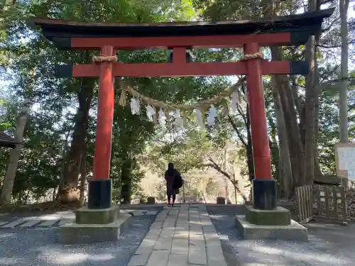 氷川女體神社(埼玉県)