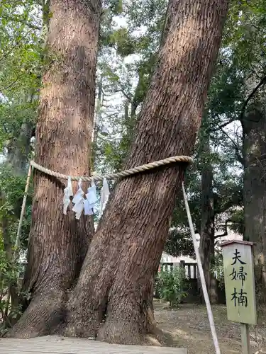 武蔵一宮氷川神社(埼玉県)