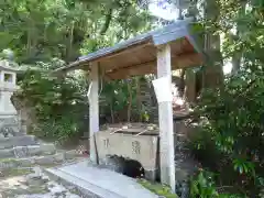 酒井神社の手水