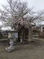 陽雲寺(埼玉県)