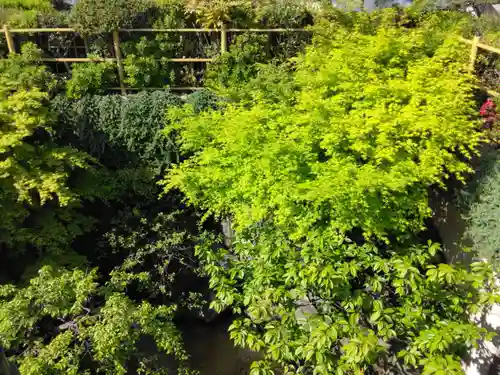 常在寺(東京都)