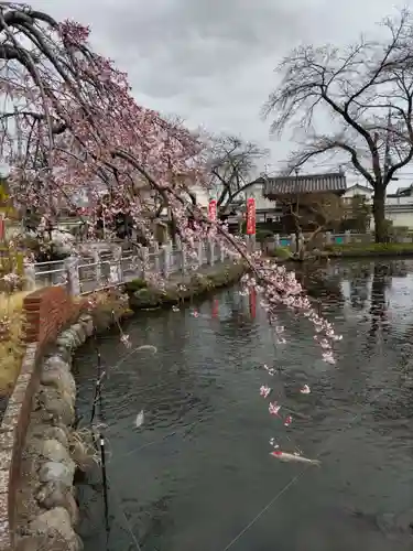 圓照寺の庭園