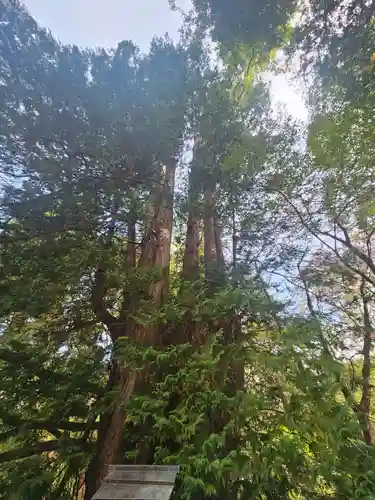伊佐須美神社(福島県)
