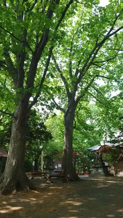 相馬神社(北海道)