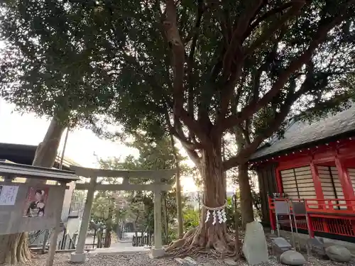 玉前神社(千葉県)
