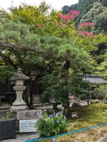 南禅寺(京都府)