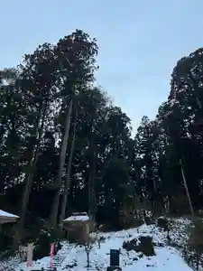 大宮温泉神社(栃木県)(2024年02月09日(金) 08時09分25秒投稿)